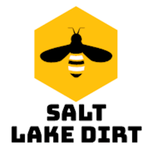 Salt-Lake-Dirt