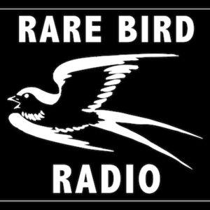 rare-bird-radio