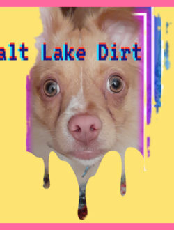 salt-lake-dirt
